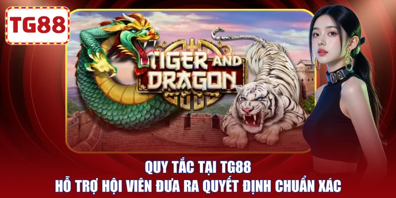 Quy tắc tại TG88 hỗ trợ hội viên đưa ra quyết định chuẩn xác